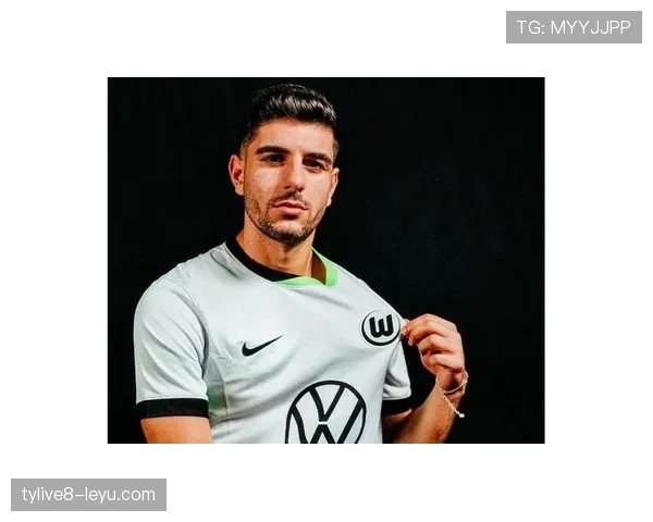 德甲转会市场巨变：新星涌入，老将告别引关注