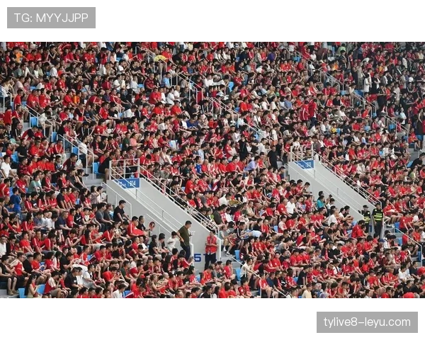 森林城市球场点燃新赛季战火，英超激情与期待共燃球迷热情