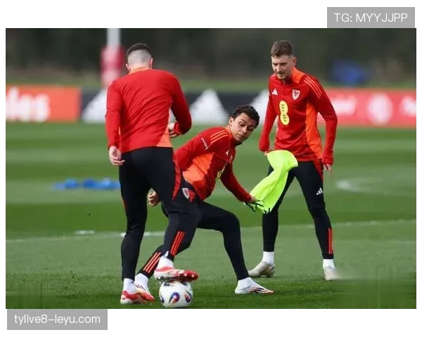 比利时国家队公布欧锦赛阵容，明星球员状态回暖引关注