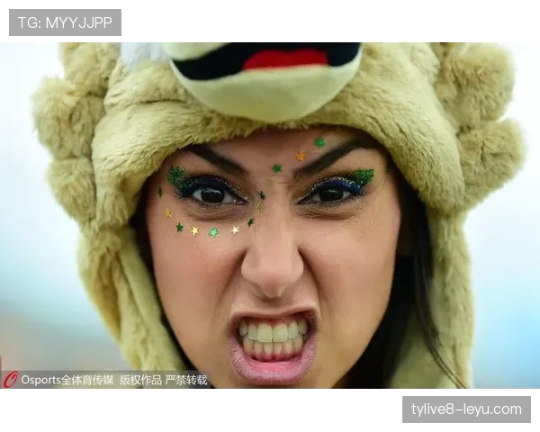 法国球迷热情似火，赛场内外共襄足球盛宴